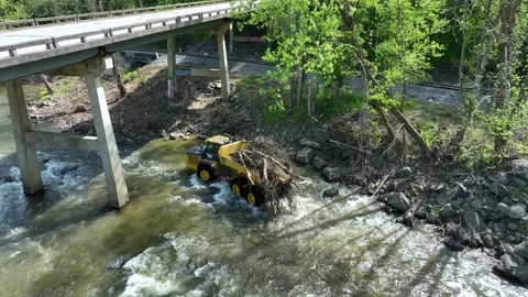 French Broad Cleanup Video stock 319402144