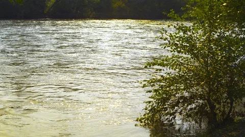 French Broad river with green trees sides near Asheville, NC Stock Footage 103825074