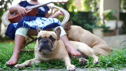 French bulldog lying next to small girl that playing Ukulele in garden. Stockbeeldmateriaal 186550158