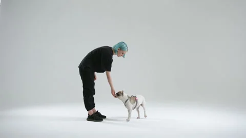 French bulldog performs the spin command reacting to gesture of female master Stock Footage 242073879
