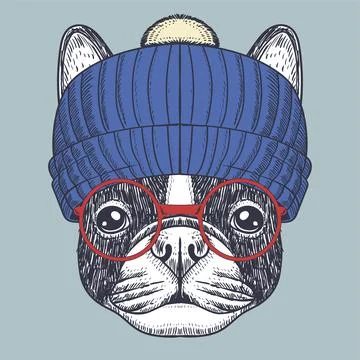 French bulldog wearing a red glasses and beanie Stock Illustration