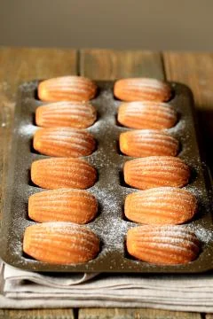 French cake madlen Stock Photos