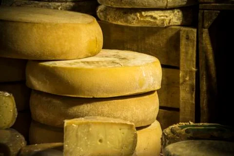 French Cheese Stock Photos