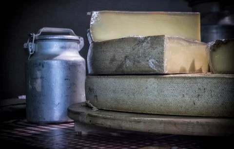 French Cheese Stock Photos
