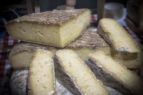 French Cheese Stock Photos