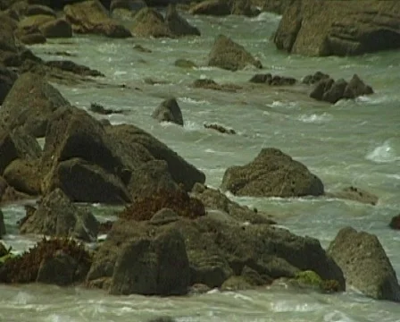 French coast 스톡 동영상 298333