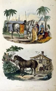  French, Coloured illustration, dated circa 1884, depicting a farm horse a... Stock Photos