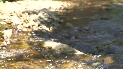 FRENCH COUNTRY STREAM Stock Footage 220442790