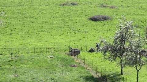 French Countryside Video stock 21330409