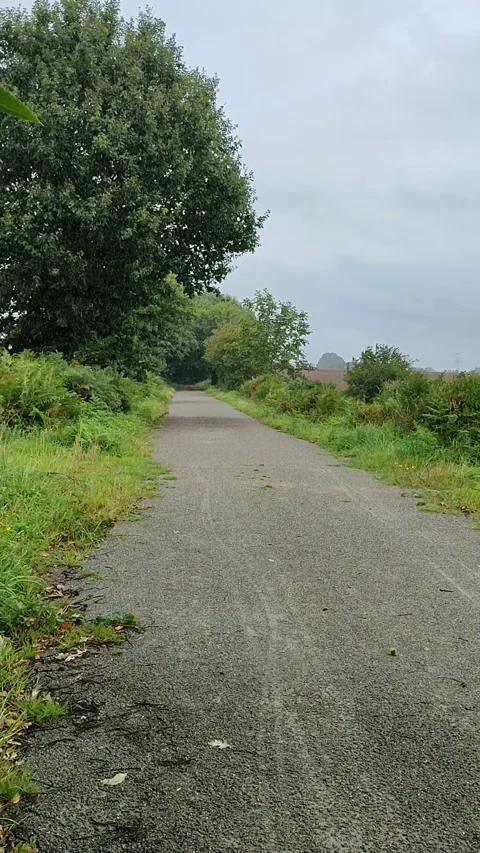 French Countryside Light Rain Vertical, Brittany Stock Footage 249809903