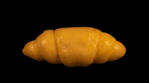 French Croissant, baking timelapse, isolated on black background Video stock 105394915