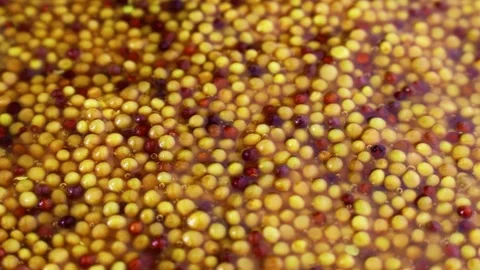 French dijon mustard texture circle rotation close up Stock Footage 242351886