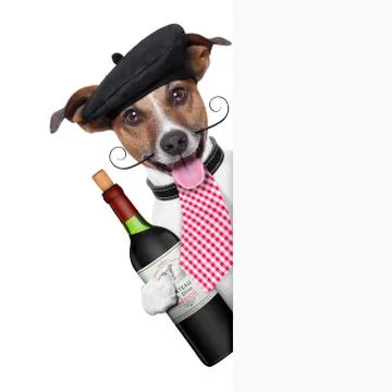 French dog Stock Photos