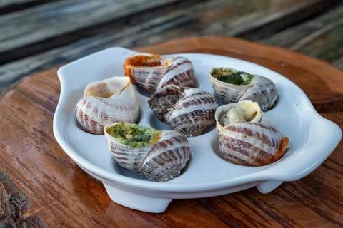 French Escargot Dish with Assorted Culinary Stuffing for Gourmet Menu Fotos Stock