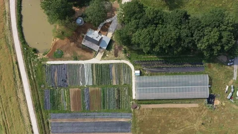 French Farm Video stock 201135389