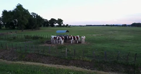 French Field Stock Footage 149267572