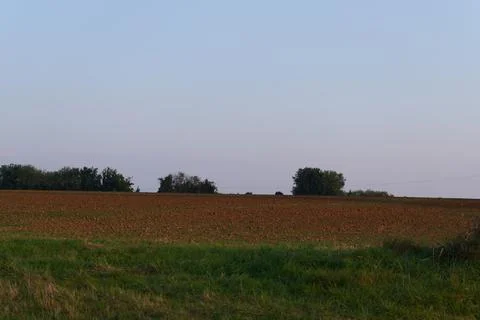 French fields Fotos de archivo