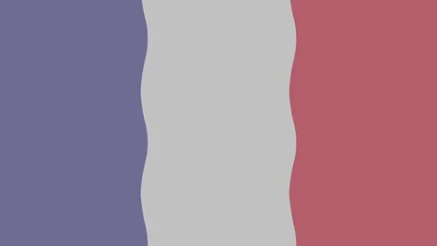 French flag animation Stock Footage 310757520