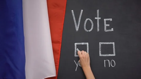 French flag on blackboard, hand marking yes answer in vote, president election Stock Footage 113970329