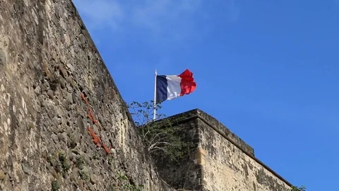 French Flag Blowing Stock Footage