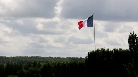 French Flag Blowing in the Wind Video stock 115052231