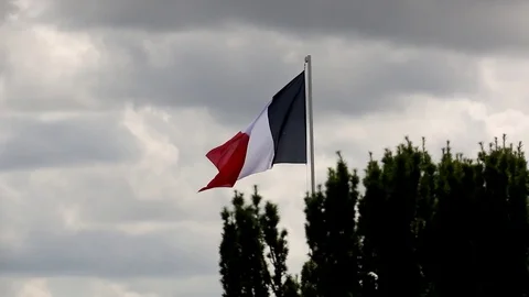 French Flag Blowing in the Wind Stock Footage 115052292