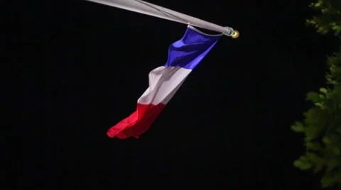 French Flag blowing in the wind next to a tree during the evening Stockbeeldmateriaal 45274766