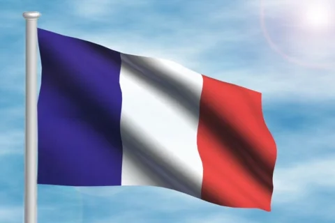 French flag - digital animation Stock Footage 116177