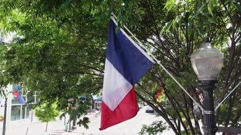 French flag drapes from ornate lamppost pole beneath leafy green trees, quiet Stock Footage 339994384