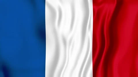 French Flag Flowing Gently with a Smooth Satin Fabric Texture 库存影片 341822481