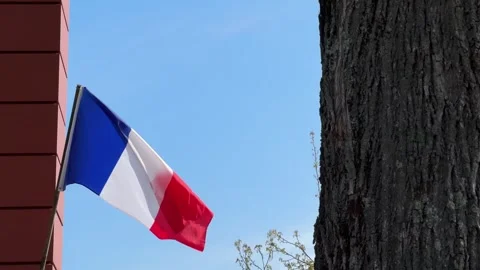 French flag fluttering on building facade against clear sky and tree trunk Stock Footage 308937543