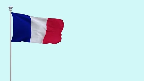 French flag fluttering in the wind - looped video - separate alpha channel Vidéo 263207348