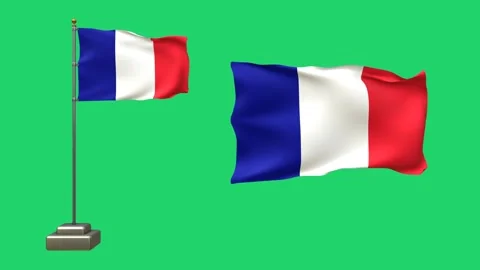 A French flag flutters on a pole with realistic movement, while the other w.. Video stock 317611905