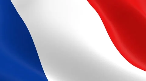 French flag Vídeos de archivo 8564577