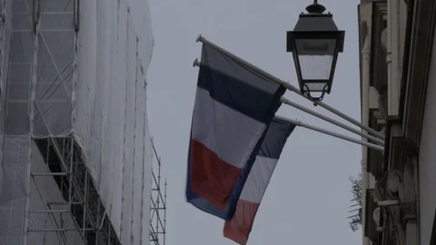 French flag 스톡 동영상 87344374