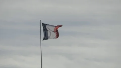 The French flag 스톡 동영상 87344979