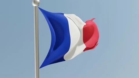 French flag Stock Footage 170838804