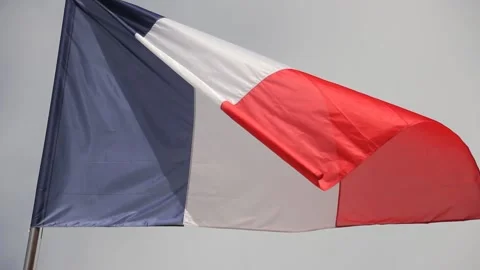 French Flag Vidéo 310322493