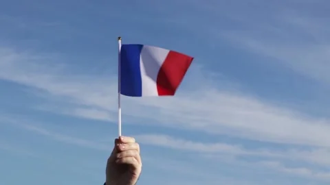 French flag in hand flutters in the wind against the sky, independence nati.. Stock Footage 223827291