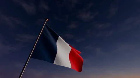French Flag at Night Celebrating New Year Fireworks Stock Footage 339079251