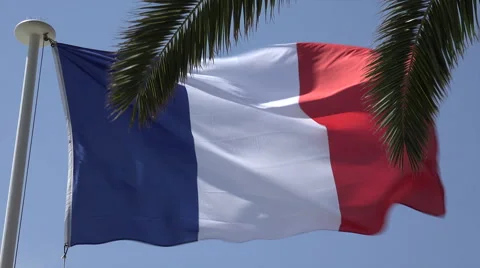 French flag, palm tree leaves with blue sky background, France Stock Footage 49953132