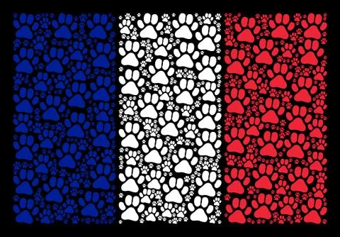French Flag Pattern of Paw Footprint Icons Stock Illustration