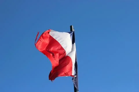 French Flag Foto stock