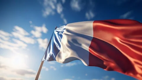 French flag streams across a blue sky Video stock 317021568
