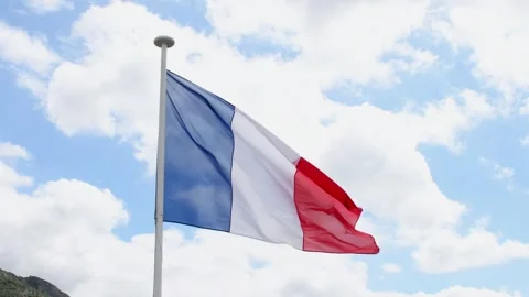 French Flag Tricolor Waving in Wind Blue Sky Stock Footage 343255135