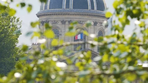 French flag waving in slow motion through trees in Paris France Stock Footage 105691227