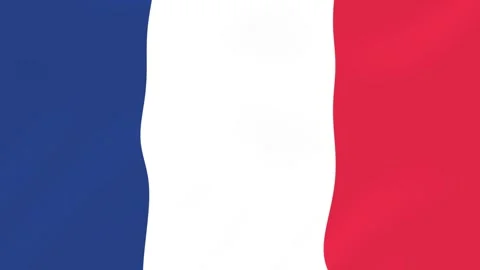 French flag waving smoothly with soft fabric texture and vibrant colors Vídeos de archivo 338118232