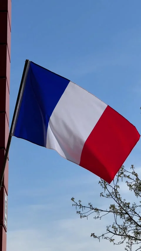 French flag waving on sunny spring day with clear blue sky and green branches Stock Footage 308937535