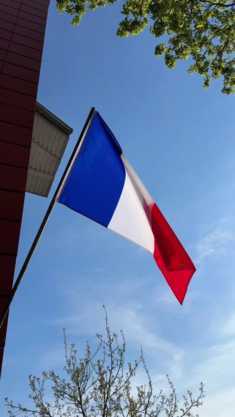 French flag waving on sunny spring day with clear sky and green branches Stock Footage 308937545