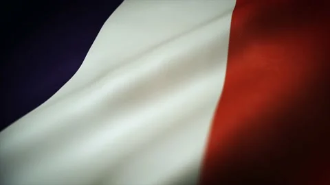 French Flag Waving Textured Background Loop Stock Footage 146593822